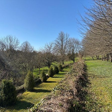 Chateau La Hussardiere Dampierre-sur-Salon Exterior photo
